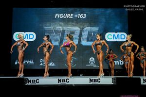 FIGURE +163